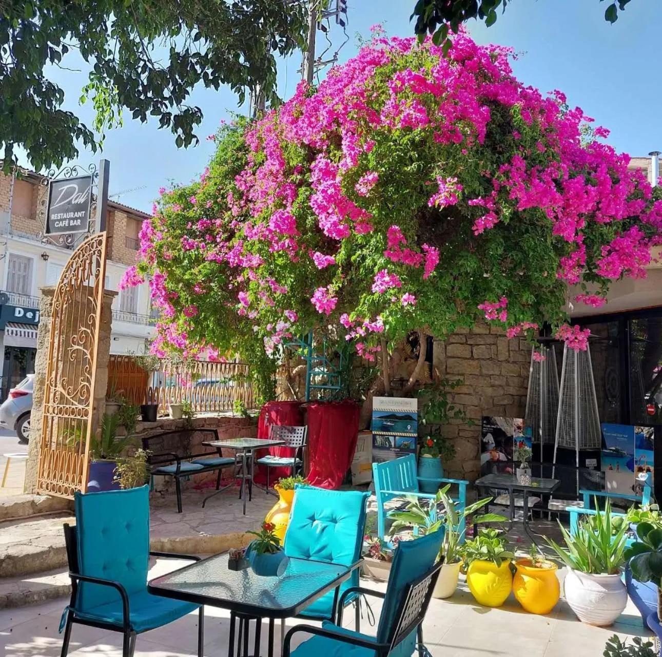 Amina Apartments Zakynthos Exterior foto